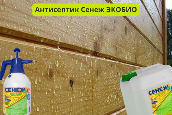 Антисептик Сенеж Экобио фото